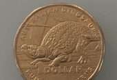 2022 Dinosaur $1 coin Kunbarrasaurus