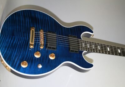 Gibson-longhorn-6