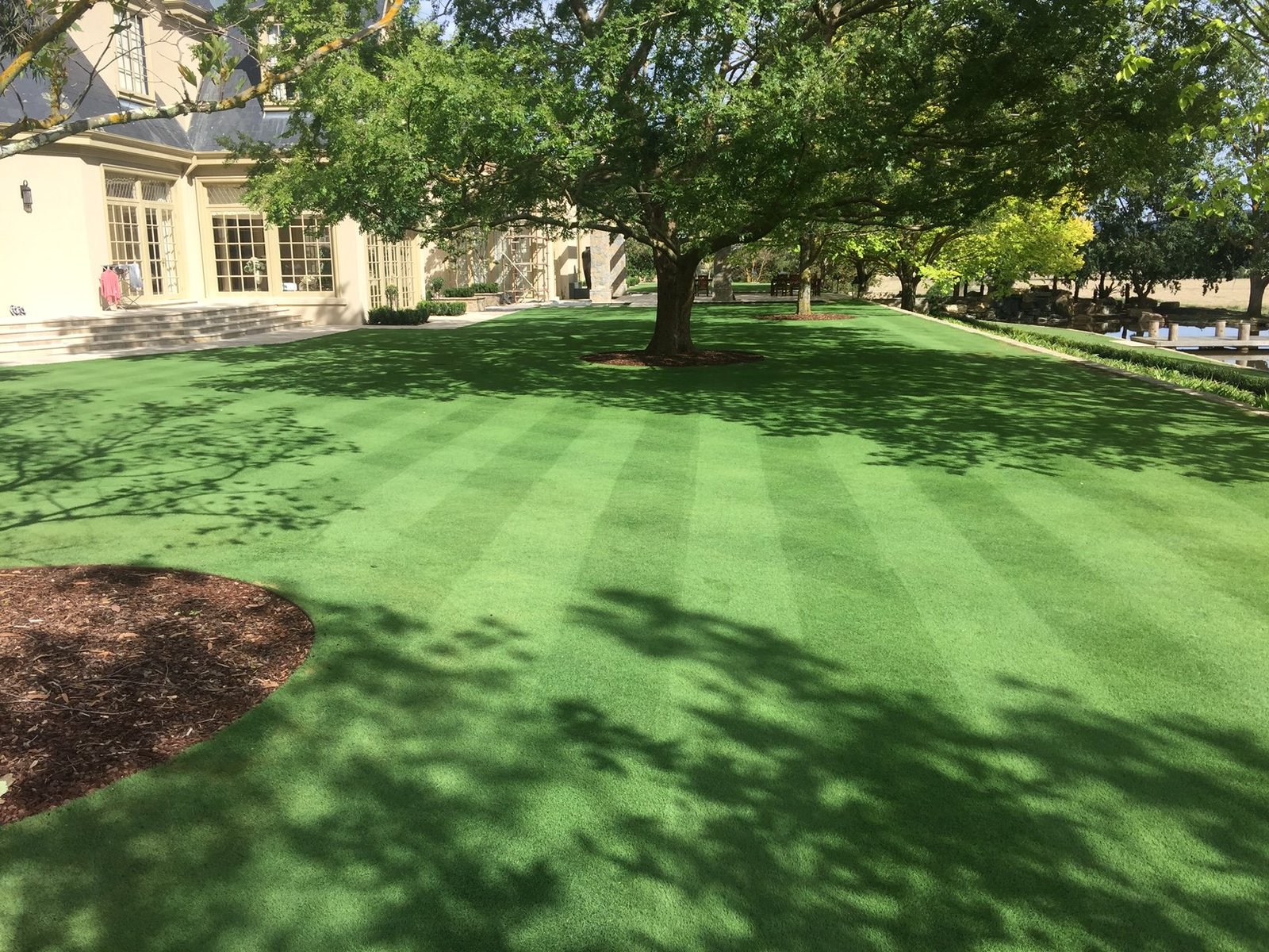 Best Turf for Melbourne