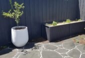 Transform Your Outdoors with Bluestone Crazy Paver