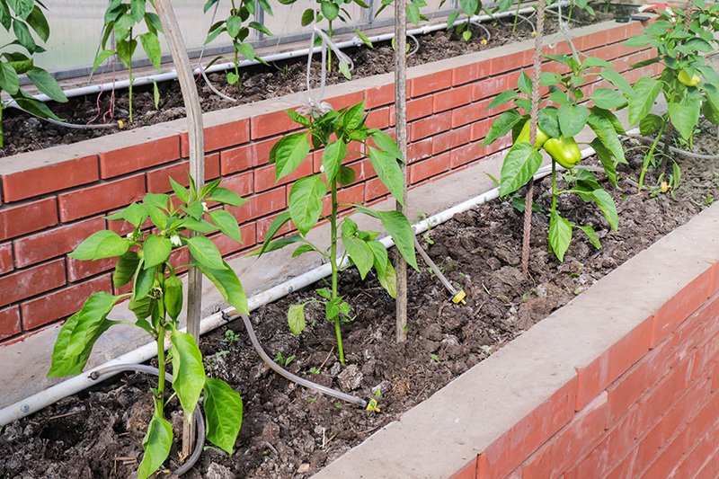 Newcastle raised garden beds