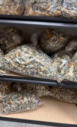 TOP aa grade weed strains and mushrooms