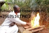 psychic healing and love spell services+256751417972