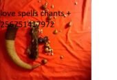 psychic healing and love spell services+256751417972