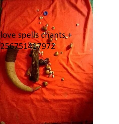 psychic healing and love spell services+256751417972