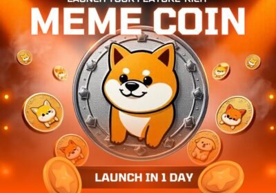 meme-coin-development-in-1-day