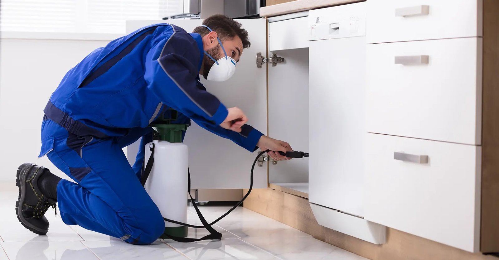 GR Pest Control – Sydney’s Reliable Local Pest Control Specialists