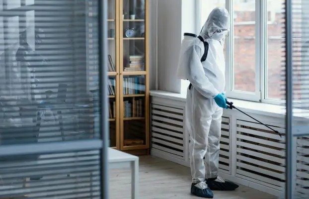 Cockroach Pest Control in Sydney – Fast, Safe & Affordable!