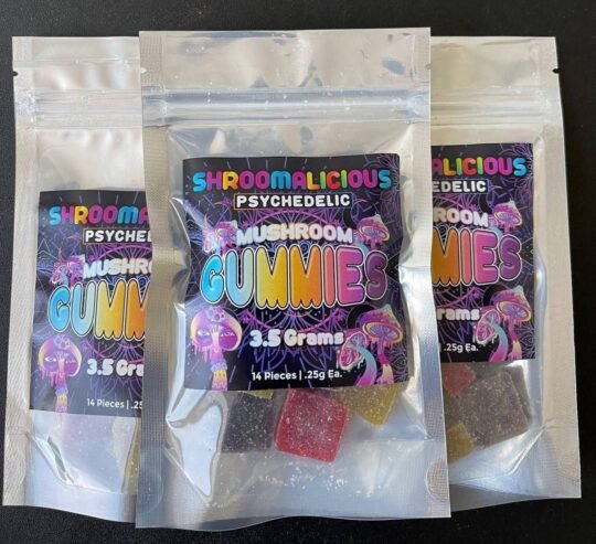 buy magic mushrooms