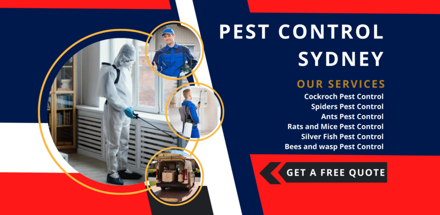Expert Pest Control in Sydney – Safe & Effective Solutions
