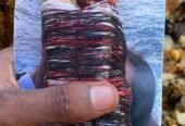 The best powerful spiritual herbalist in Nigeria+2348117855171