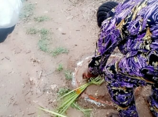 The best powerful spiritual herbalist in Nigeria+2348117855171