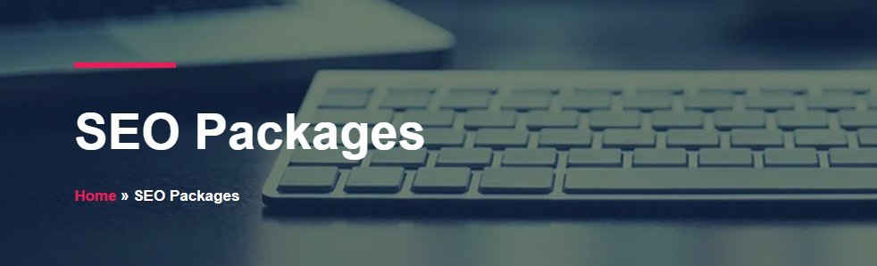 Boost Your Online Presence with Lollipop Digital’s SEO Packages