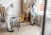 Safe & Affordable Silverfish Control Sydney | Good Riddance Experts