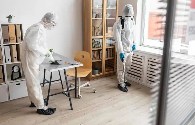 Safe & Affordable Silverfish Control Sydney | Good Riddance Experts