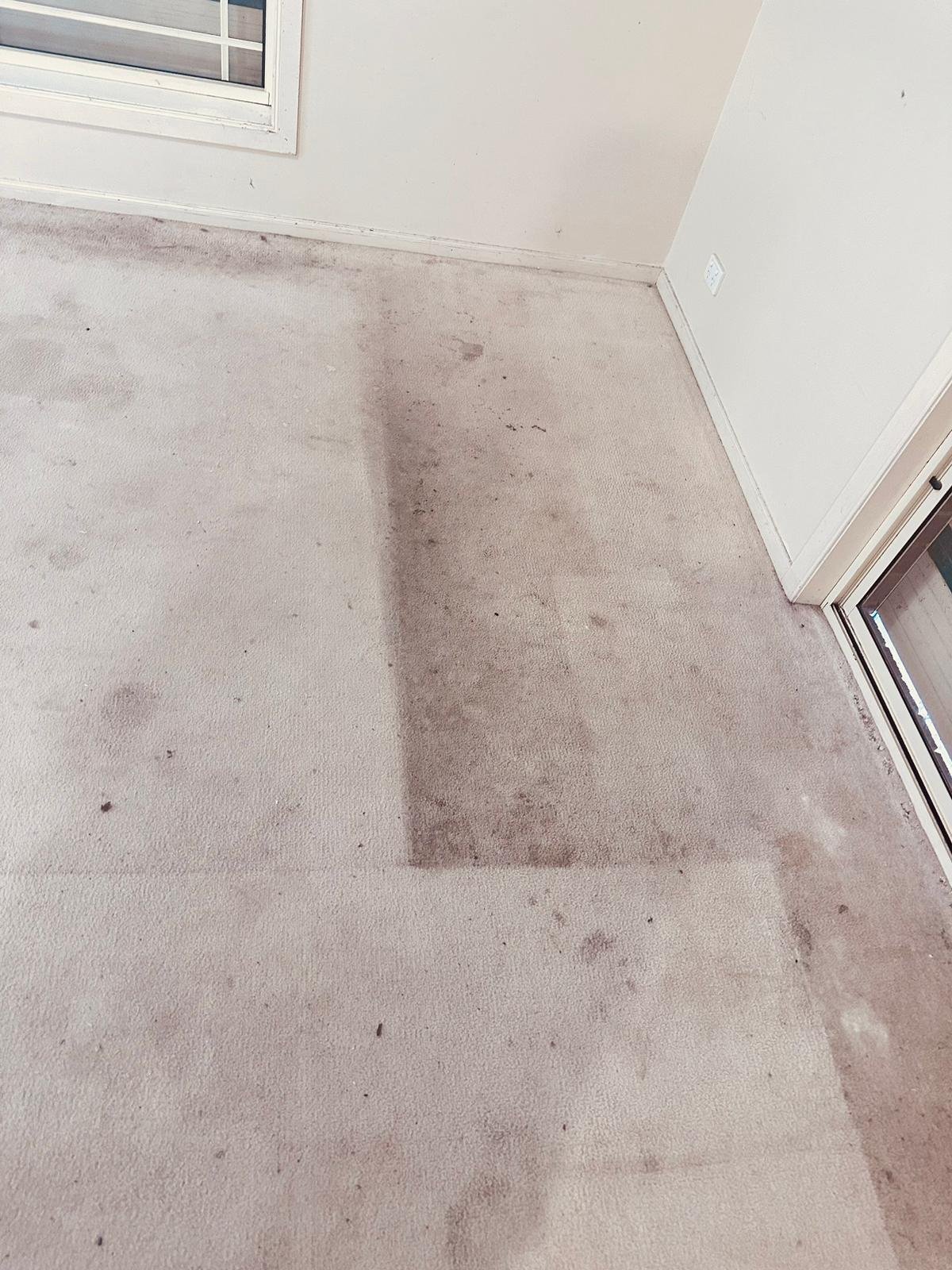 Get a 14-day satisfaction guarantee with all-inclusive Carpet Cleaning Services Adelaide