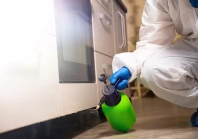 preventative-measures-for-rodent-control