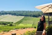 d’Vine Wine Tours