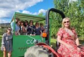 d’Vine Wine Tours