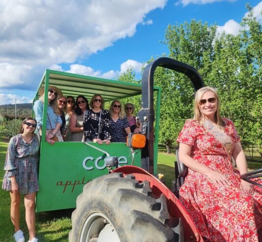 d’Vine Wine Tours