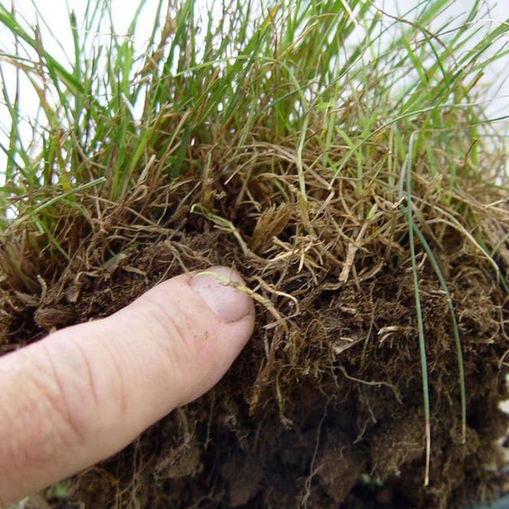 Indigo Specialty Products