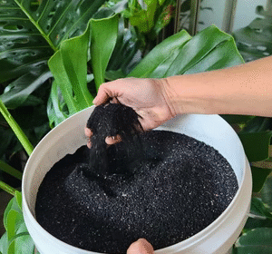 Soil-1