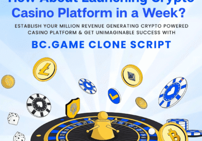 Start-your-crypto_casino-platform-like-bc.game_