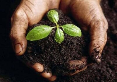 bio-organic-manure