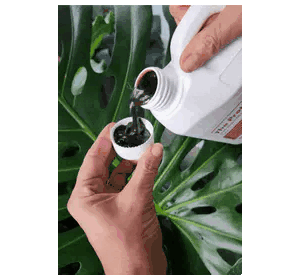 fish-fertiliser