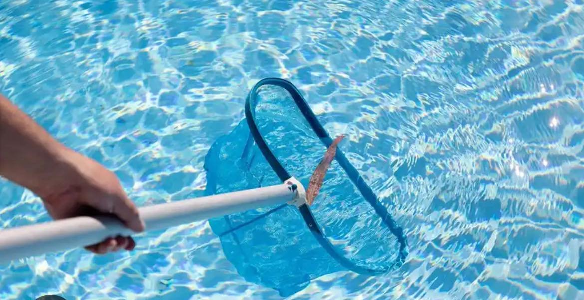 Professional Green Pool Cleaning in Melbourne – Algae Removal Melbourne