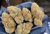 Buy Bulk Weed Online at Cheap Weed | BUY Shrooms Psychedelic Edibles ONLINE (jamesgrays720@gmail.com