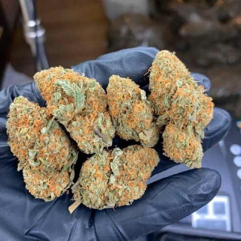 Buy Bulk Weed Online at Cheap Weed | BUY Shrooms Psychedelic Edibles ONLINE (jamesgrays720@gmail.com