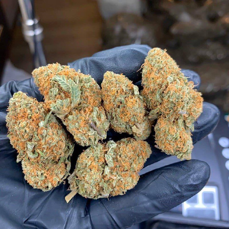 Buy Bulk Weed Online at Cheap Weed | BUY Shrooms Psychedelic Edibles ONLINE (jamesgrays720@gmail.com