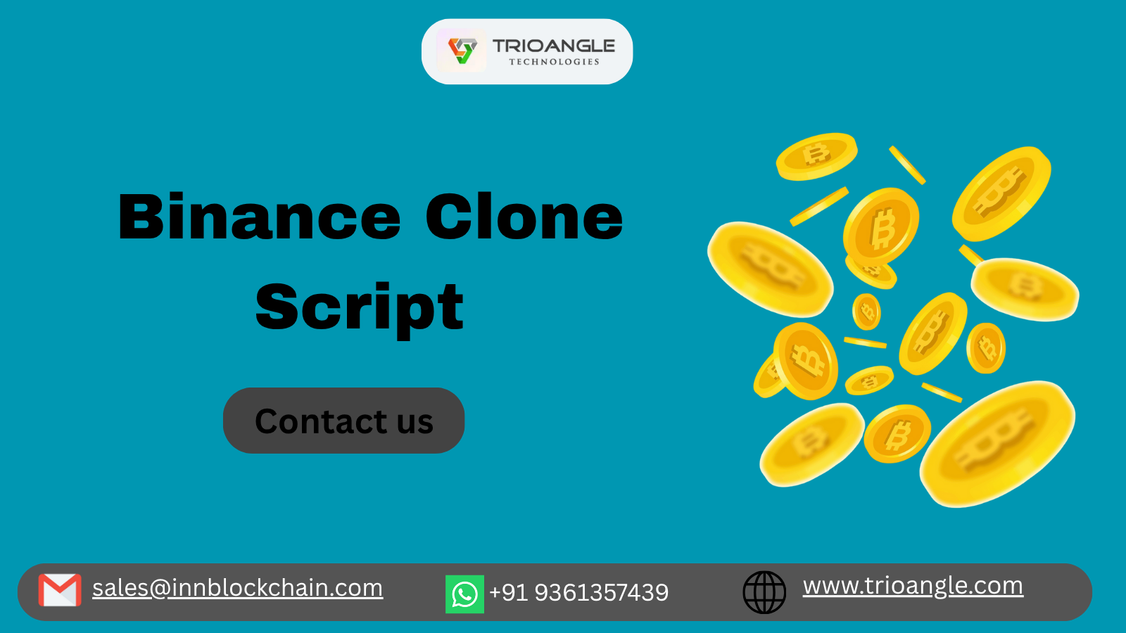 Binance Clone Script