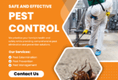 Cockroach Pest Control Sydney
