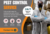 Cockroach Pest Control Sydney