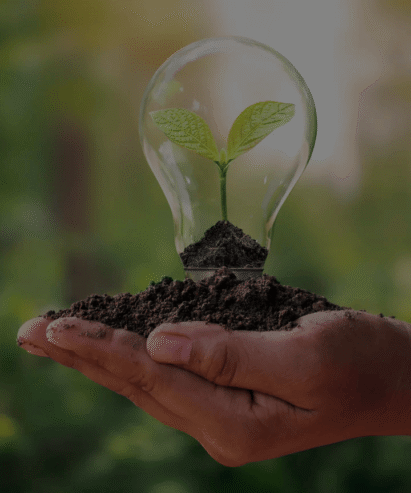 Soil Dynamics: Premium Indoor Plant Fertilisers for Healthy Growth Naturally