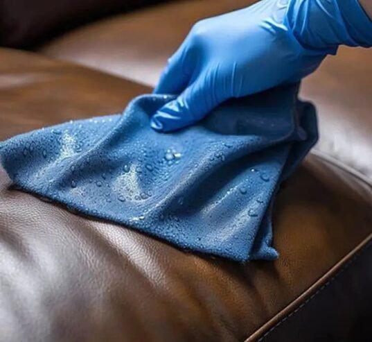 Leather Cleaning Adelaide
