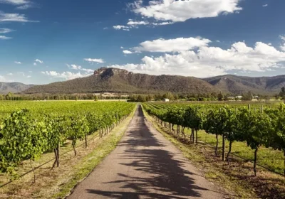 Package-for-Hunter-Valley-Winery-Tour.jpg