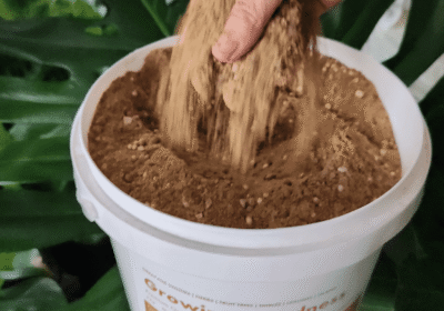 organic_fertiliser_for_sale_optimized_1000