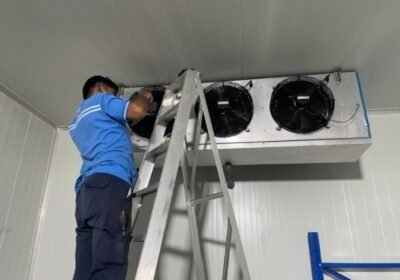 Cold-Room-Repairs-Logan