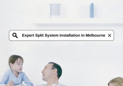 Expert-Split-System
