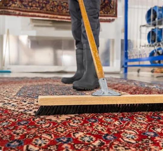 Need Professional Carpet Cleaning in Adelaide? We’ve Got You Covered!