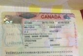 WHERE CAN I BUY Real Passports,Driver’s License,ID Cards,Visas Whatsapp:+1(479) 561‑5765 USA Green