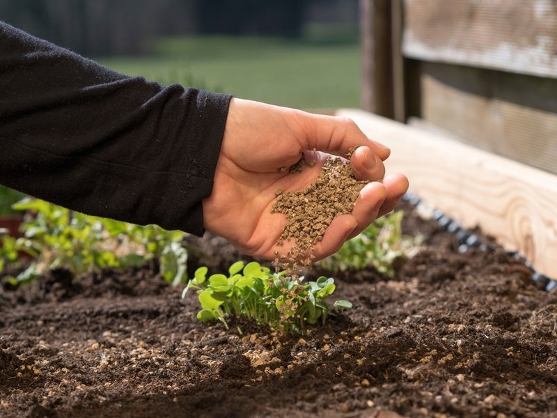 Keep Your Garden Thriving with Slow Release Organic Fertiliser