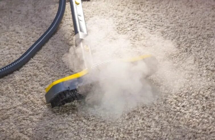 carpet steam cleaning specialist Adelaide