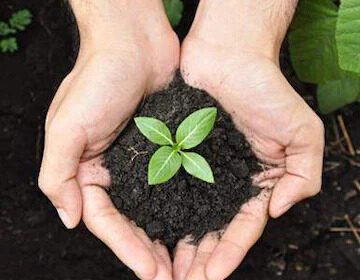 organic-fertilizer-for-sale