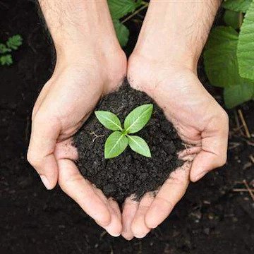 Organic Fertiliser for Sale – Eco-Friendly Farming with Soil Dynamics