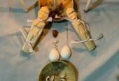 AUTHENTIC +27603483377 LOST LOVE SPELLS CASTER THAT WORKJS FAST IN UK USA CANADA AUSTRALIA GERMANY