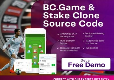 Dappsfirm-BC.Game-Stake-Clone-Source-Code
